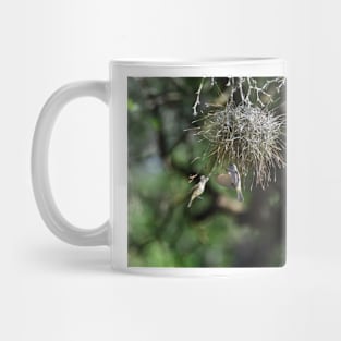 Spring is in the Air - Northern Beardless Tyrannulets Mug